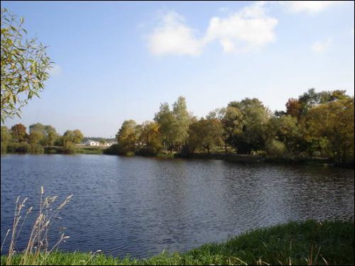 Сажалка. Выгляд ад бровару Бярозаўка. Прысядзібны парк