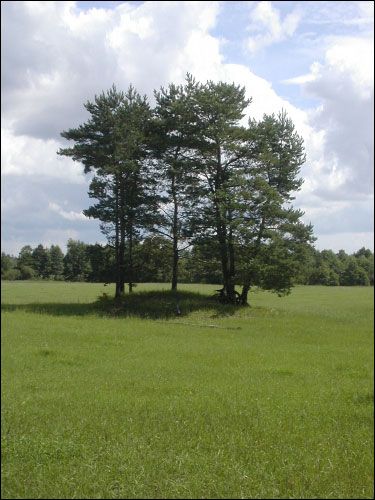 Biruli.  Burial-mounds