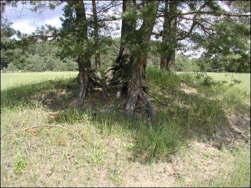 Biruli.  Burial-mounds