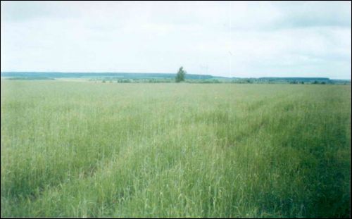 Ходараўка. Краявіды 