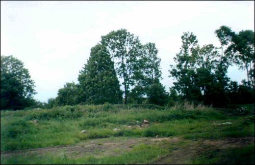 Chodorówka. Park dworski Sławińskich