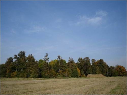 Janowo. Park dworski 