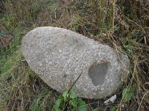 Комайск |  Пейзажи . 