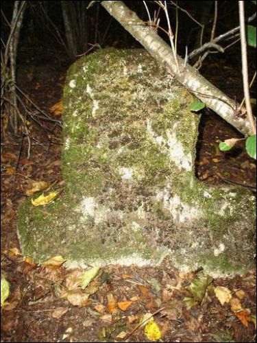 Комайск |  Пейзажи . 