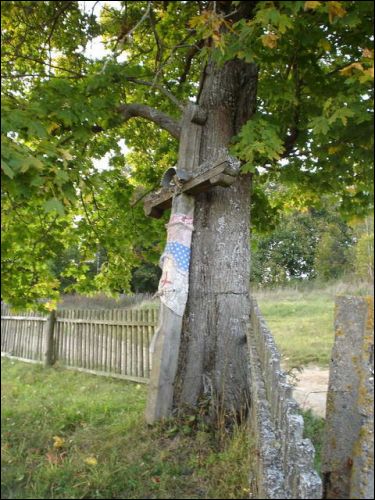 Комайск |  Пейзажи . 
