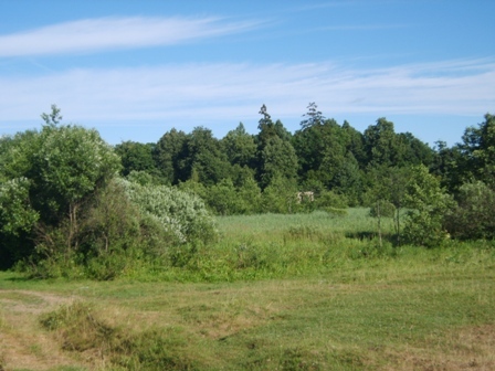 Kijakova. Manor park 