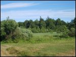 Kijakowo Park dworski 