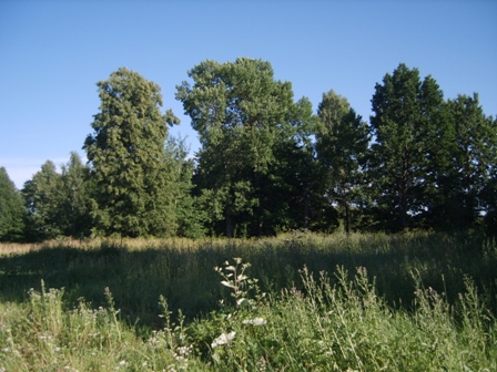 Kijakova. Manor park 