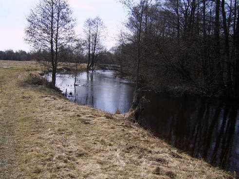  - Krajobrazy . Starorzecze Berezyny