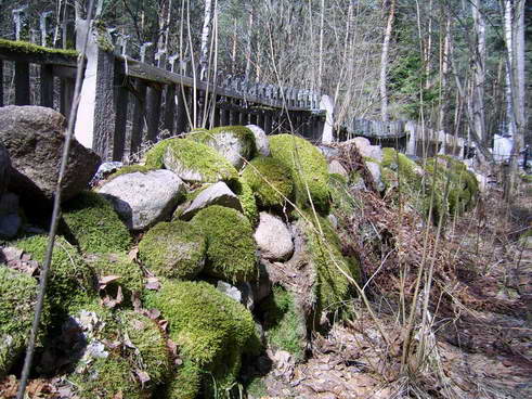  - Krajobrazy . Kamienny mur cmentarza w Porzeczu