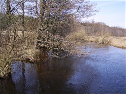  - Krajobrazy . Starorzecze Berezyny