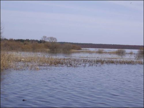  - Krajobrazy . Jezioro Medzadzoł