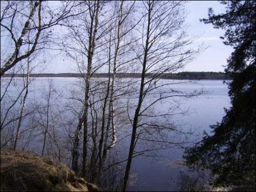 Biruli |  Landscapes . 