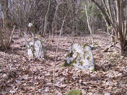 - Krajobrazy . Zapomniane i opuszczone mogiłki nad brzegiem jeziora