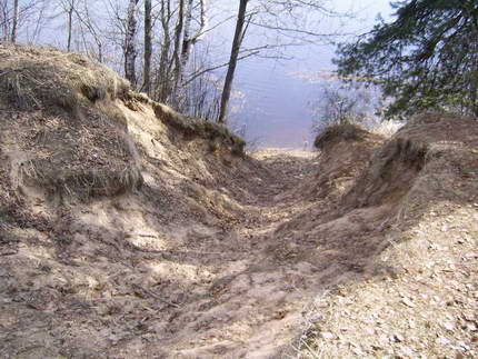  - Krajobrazy . Nad jeziorem