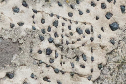 Wołkołata. Kościół Św. Jana Chrzciciela