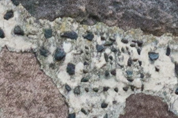 Wołkołata. Kościół Św. Jana Chrzciciela