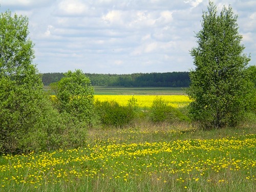 Vaŭkałata. In the village 