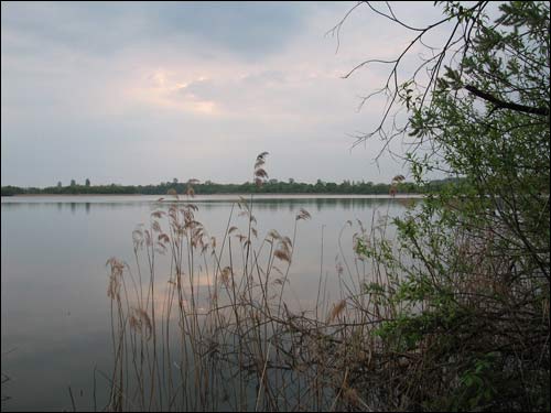  - Krajobrazy . Jezioro Białe, 05 2006