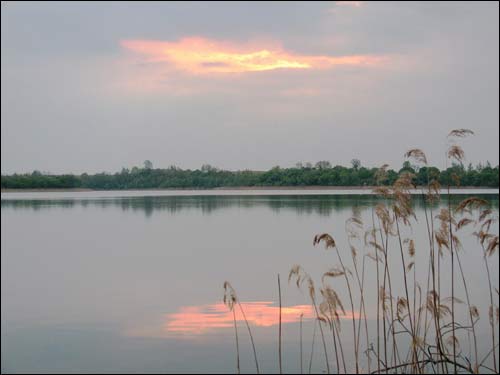  - Krajobrazy . Jezioro Białe, trzciny i poblask zachodu - 05 2006