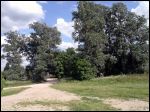 Дерковщина Приусадебный парк при бывшей усадьбе Домейко