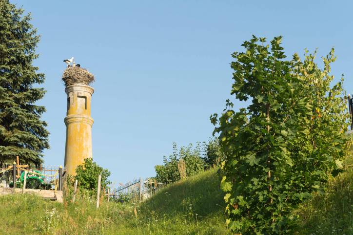 Hłybokaje.  Column of the Constitution of May 3, 1791