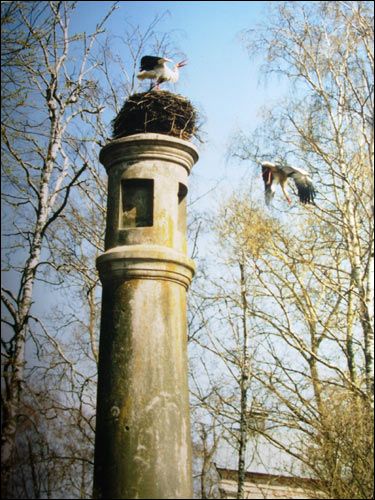  -  Column of the Constitution of May 3, 1791. Sping. Photo 2003