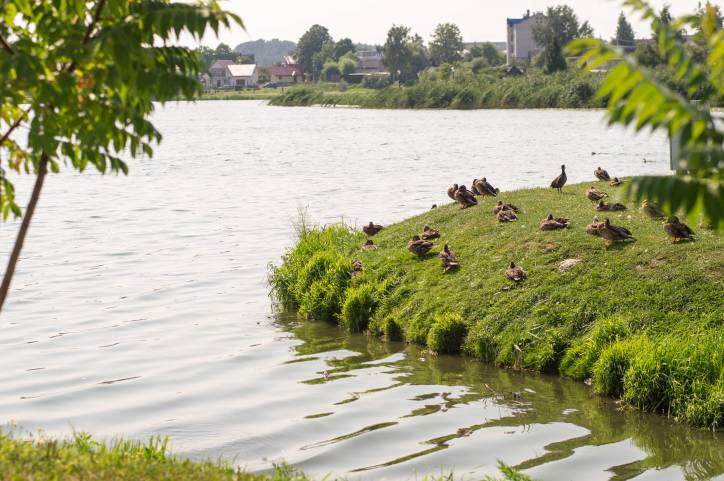 Глубокое. Улицы города