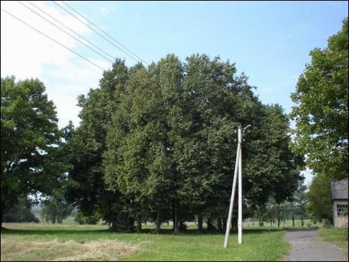 Ivanaŭščyna. Farmstead 