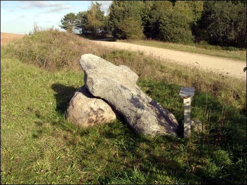  -  Каменны крыж. Да 2008 г. старажытны каменны крыж знаходзіўся на ўскраіне Плісы побач з старай дарогай з Полацка на Глыбокае, якую ў народзе клічуць Альгердавым шляхам