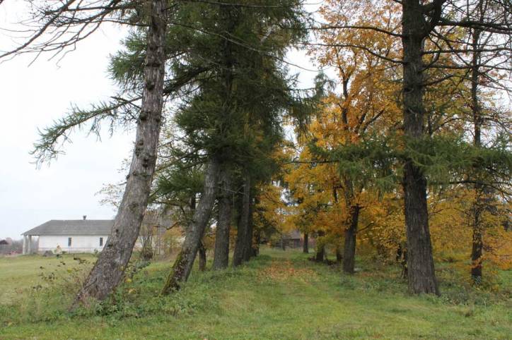 Псуя. Прысядзібны парк 