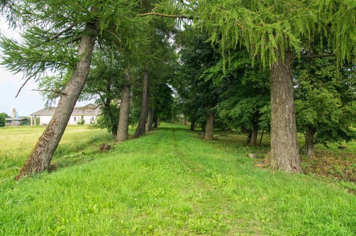 Псуя. Прысядзібны парк 