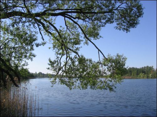 Псуя. Краявіды 
