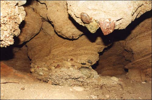 Sachnavičy.  Solutional cave