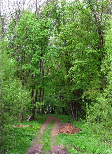 Astraŭlany. Manor park Mastman