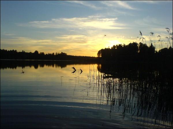 Vyšadki. Landscapes 