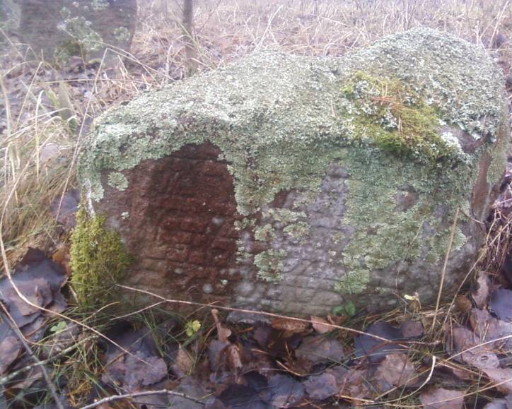 Бабиновичи. Кладбище еврейское