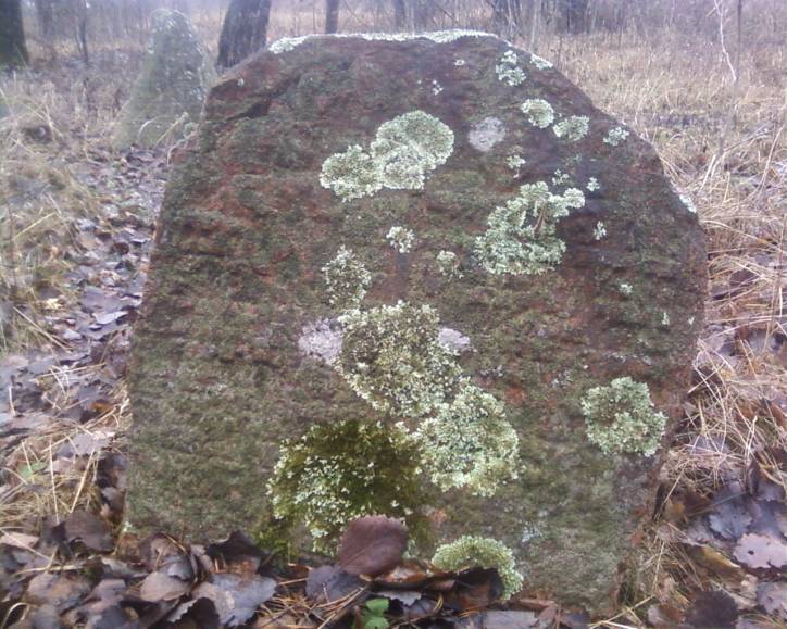 Бабиновичи. Кладбище еврейское