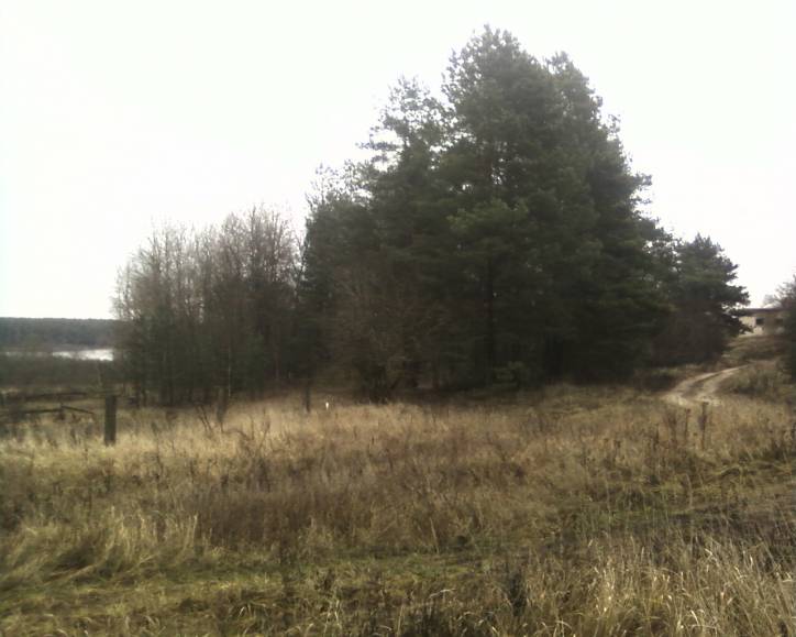 Babinavičy. cemetery Jewish