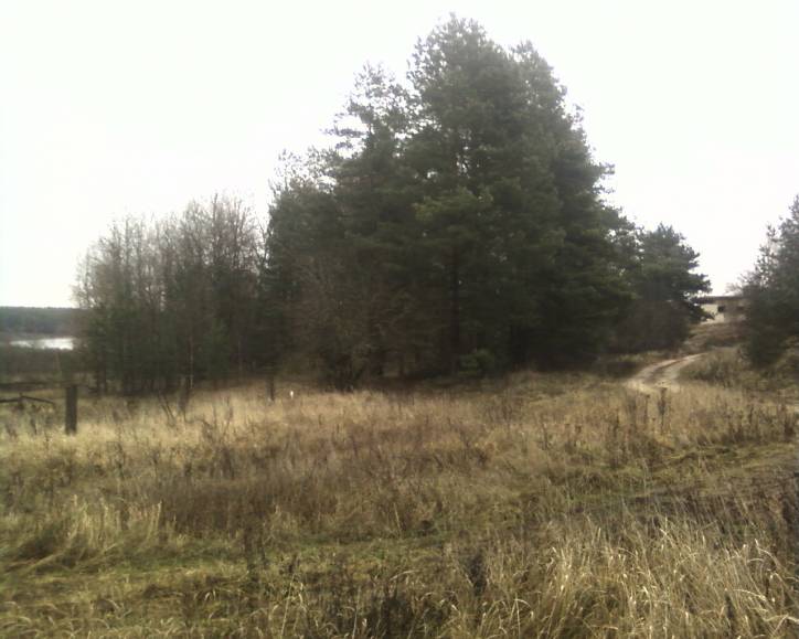 Babinavičy. cemetery Jewish