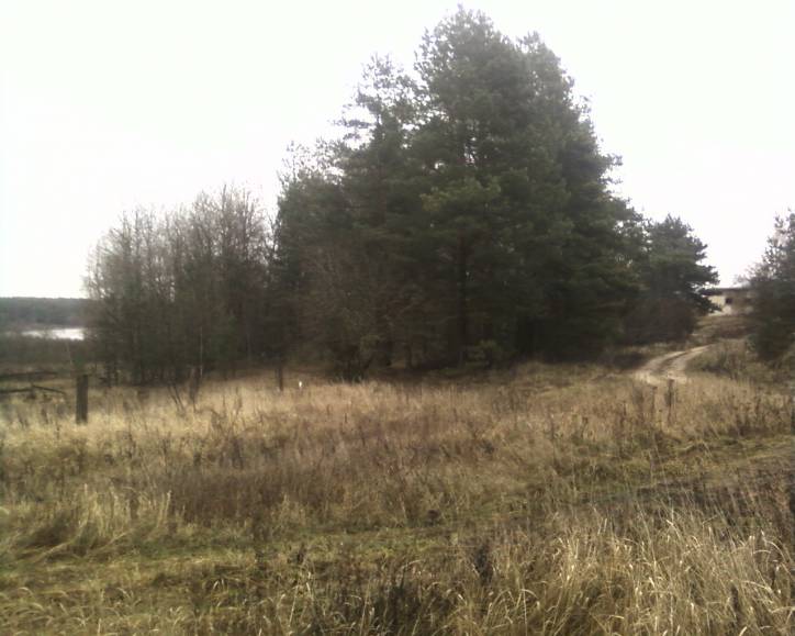 Babinavičy. cemetery Jewish