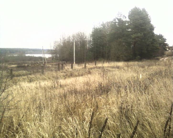 Babinavičy. cemetery Jewish
