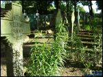 Глубокое Кладбище польское военное времен войны 1920 г.