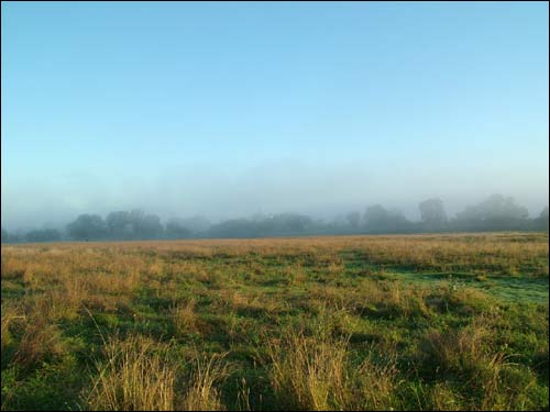 Early morning in Dzisna town Dzisna. Landscapes