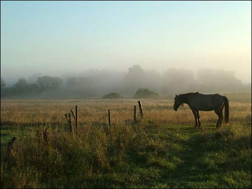 Early morning in Dzisna town Dzisna. Landscapes