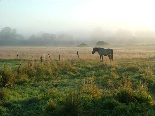 Early morning in Dzisna town Dzisna. Landscapes