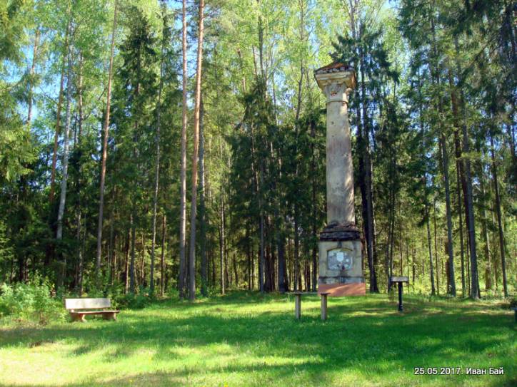  -  Kolumna pamiętniająca Konstytucję 3 Maja 1791r.. 