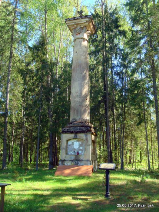  -  Kolumna pamiętniająca Konstytucję 3 Maja 1791r.. 