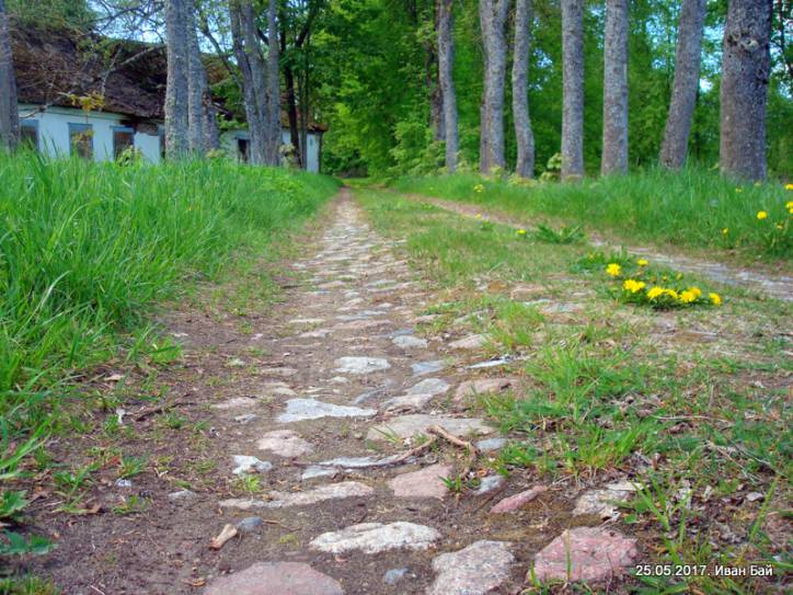 Leonpol. Zespół dworsko-parkowy Łopacińskich