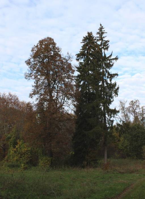 Leonpol. Zespół dworsko-parkowy Łopacińskich